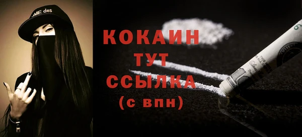 сатива Абаза