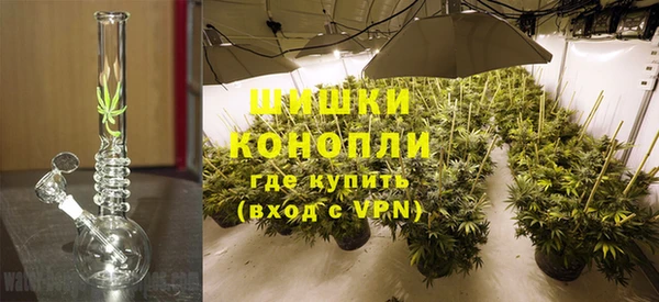 сатива Абаза