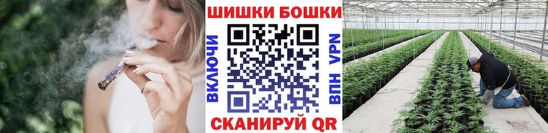 Бошки марихуана MAZAR  даркнет сайт  Апрелевка 